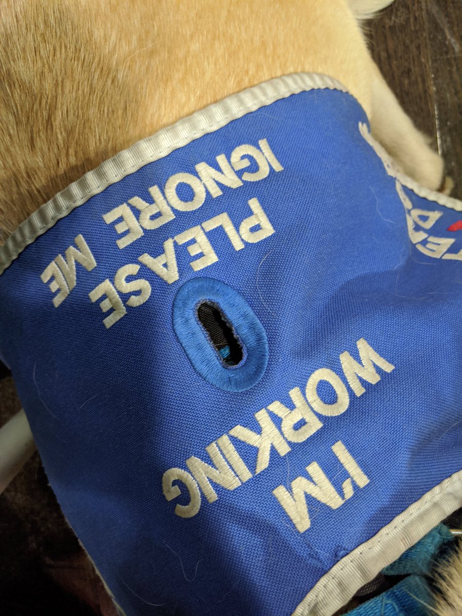 AssistanceZiggy's tweet photo. Wowsers ! @McDonalds even after being sued your staff awareness and approach is terrible  

Animals not allowed inside......!!!!! 

We shouldn't have to point out I am an Assistance Dog.........!

Who wants to see the lovely exchange?

RT and follow 

#NotJustADog #accessibility https://t.co/r7TvFwORqa