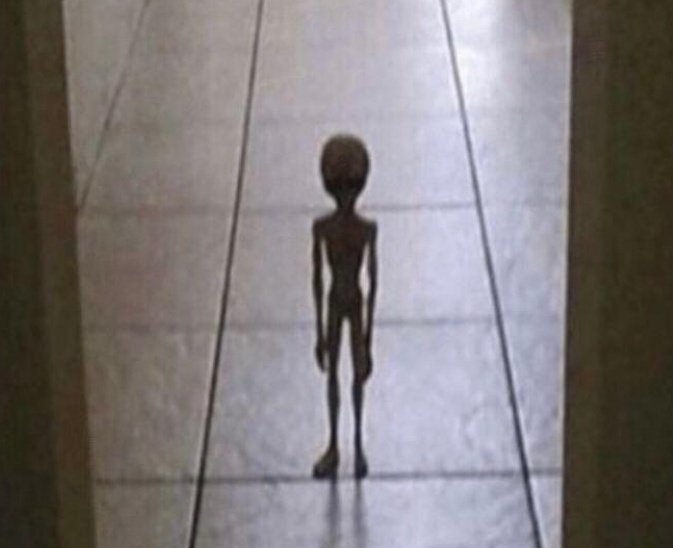 cooperadam404's tweet photo. Me coming into my parents room on a sunday at 8.30pm to tell them I need an eggplant for home ec. https://t.co/t7rTI9nz9e