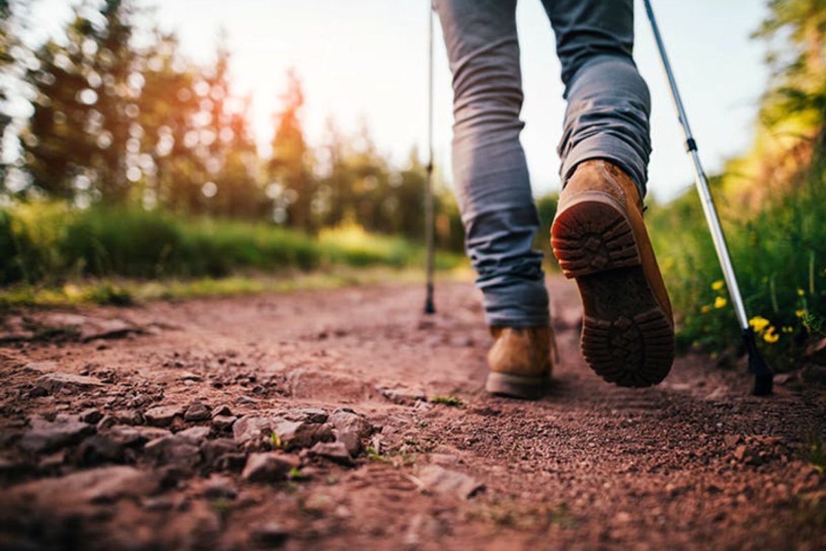 AberdeenACE's tweet photo. ACE Walks to Nevis kicks off this Thursday 23rd with a beach walk!! Our challenge - walk increasingly challenging walks until we walk to the top of Ben Nevis in August! Whose in? Get in touch to find out more @whocaresscot @LifeChangesTrst @Sportaberdeen #Hillwalking https://t.co/4ojL92Y7mN