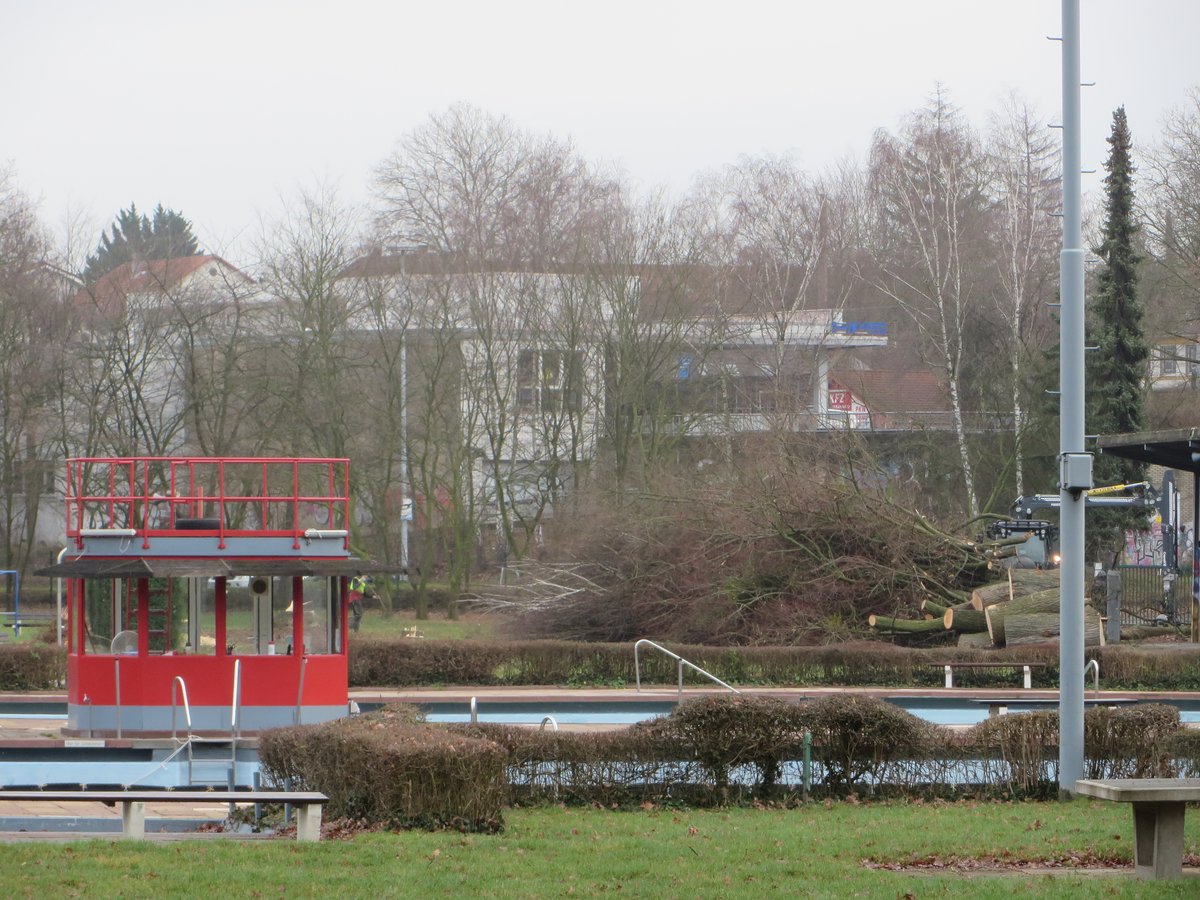 RaheAndreas's tweet photo. Das macht einen fassungslos.
Mit einer alternative Planung hätte man diesen Frevel umgehen können. 
Klimafreundliche Politik sieht anders aus.
@StadBadOey #BadOeynhausen #Umweltschutz #Klimaschutz - traurig! https://t.co/nnr8Vtmy6j