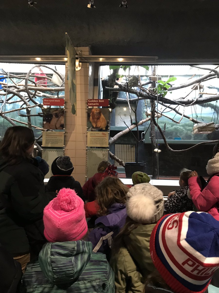 GreenteamNewbie's tweet photo. An avg. person can make 4lbs of waste each day. From what we learned at the Zoo, watch us set goals 2 reduce this! #collsedu #unlessproject https://t.co/WQnYPufpr5