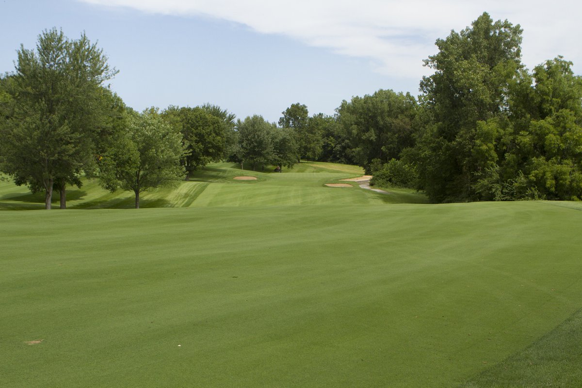Crystal BlueLinks had the highest turf quality, averaged across all locations, during the 2006 NTEP fairway/tee trials. To this day it's shown good heat tolerance and performs exceptionally well in shady areas. Learn more: bit.ly/30TGWqZ #CrystalBluelinks