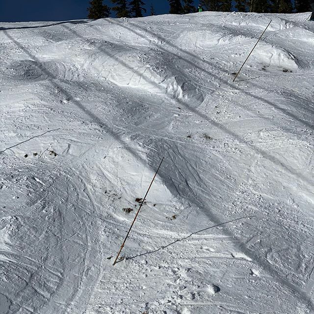 Colorado Snow tweet media