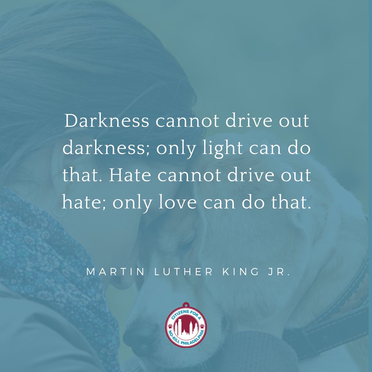 Philly No-Kill tweet media