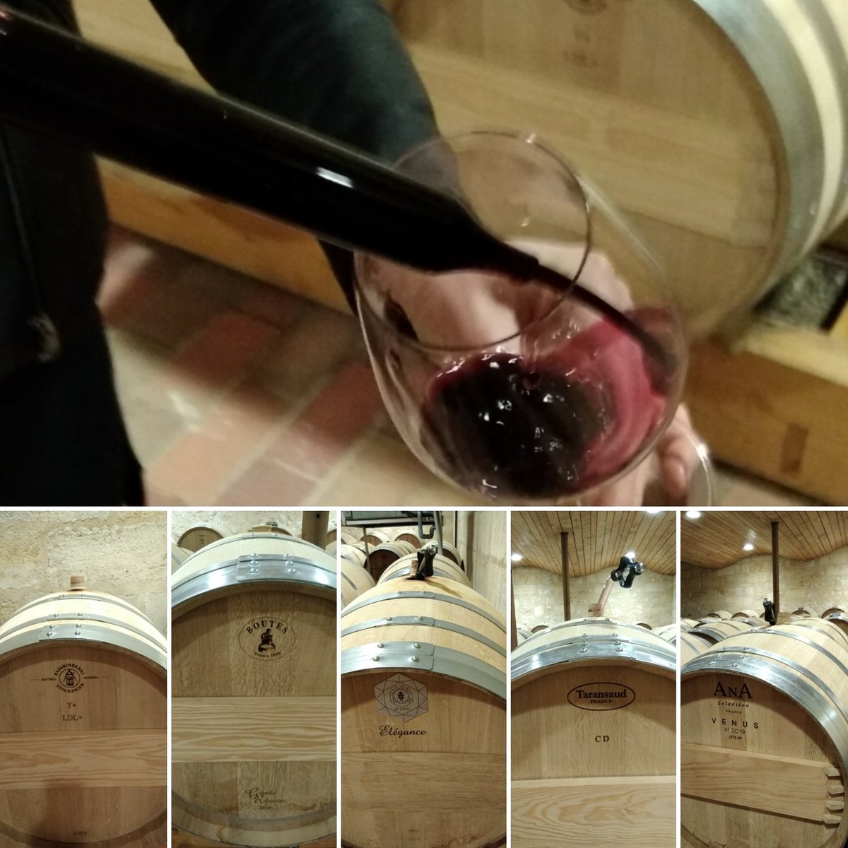 Beausejour_hDL's tweet photo. 🇫🇷Dégustation sur barrique. Toujours très instructif de voir comment s'élève un même lot dans des barriques issues de tonnelleries et de chauffes différentes.
#barriques #saintemilion #winemoments #beausejourhdl #barrelmaker #cooperage https://t.co/9zfABiaa13