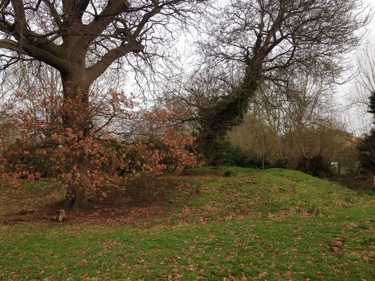 This fine day some of us ended up at Gannocks Castle, Beds, purportedly a Viking stopover before becoming a Medieval manor. Splendid moats! Chin high in nettles in Summer, bald as a coot inside right now so a good day to visit. Pic of interesting mound, base of a lookout tower?