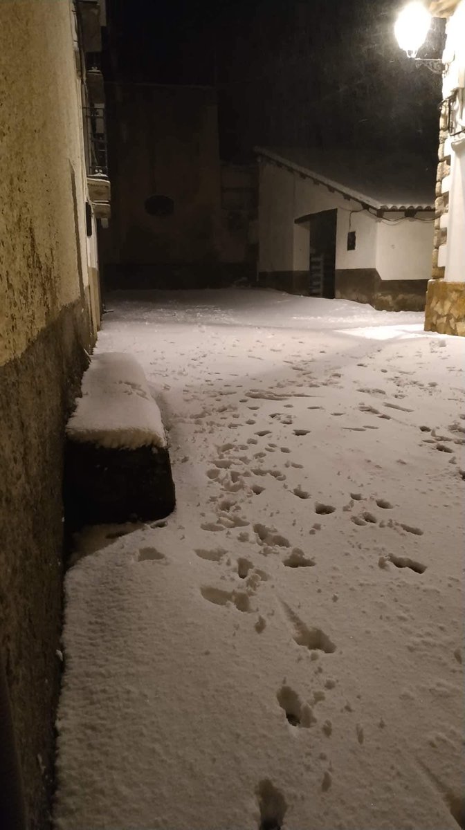 El_Vispal's tweet photo. El Vispal también está blanco🌨❄️⛄️ Gracias Meritxell Renard por las fotos 😍 https://t.co/O4a7CpwDOH