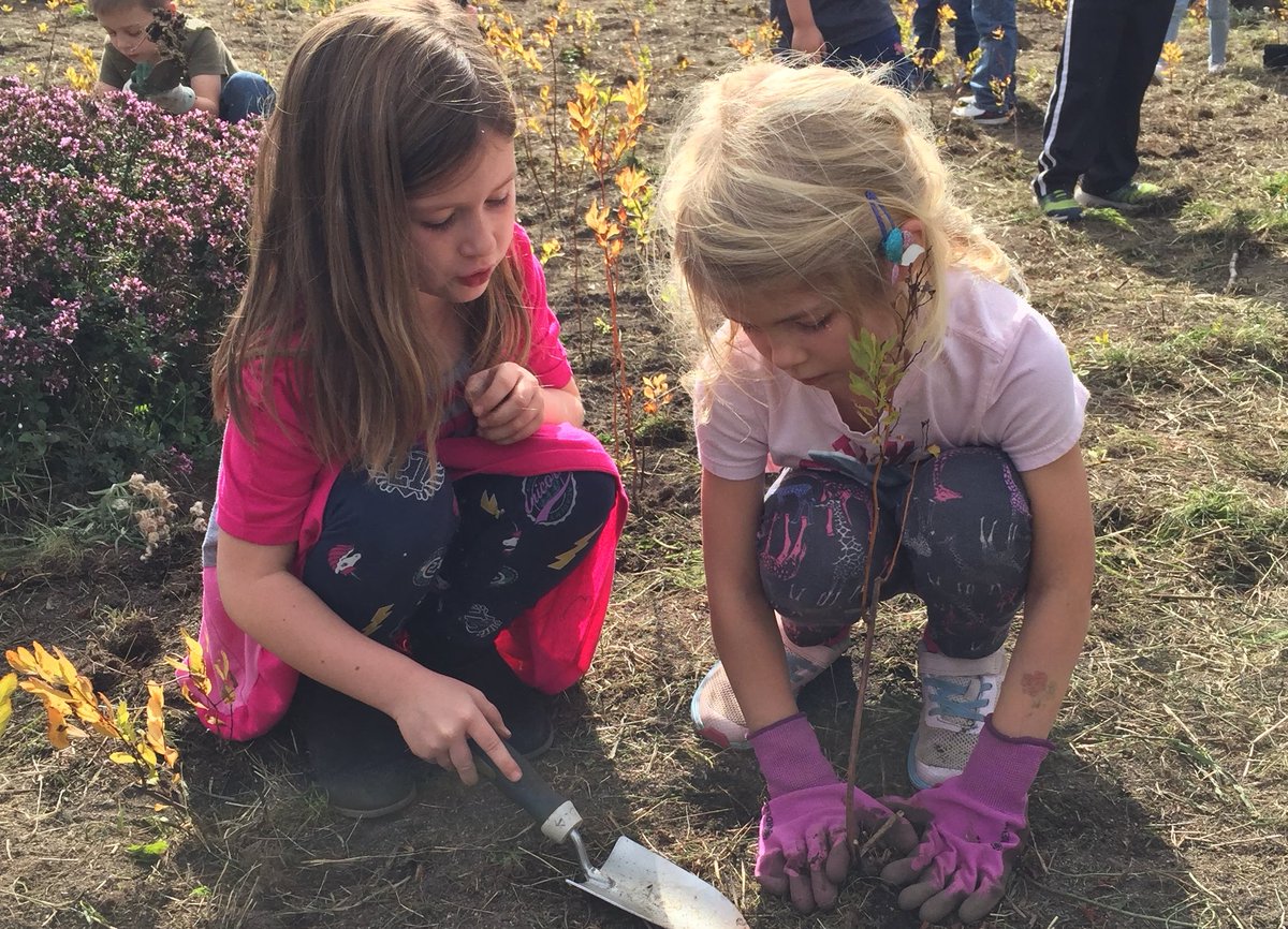 Two girls plant a small tree in the dirt. 