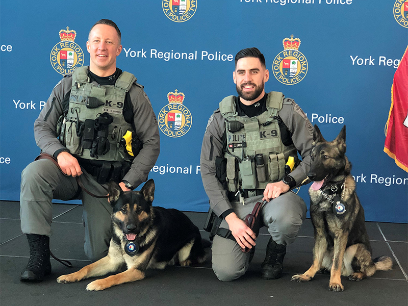 YRP's tweet photo. CANINE GRAD: This afternoon we were proud to welcome our newest additions to the Canine Unit – handlers Constable Zack Leece and Constable Mark Hansen and their Police Service Dogs York and Hux. And yes, both German Shepherds were very good boys during their graduation ceremony. https://t.co/gPR3A8nYp6