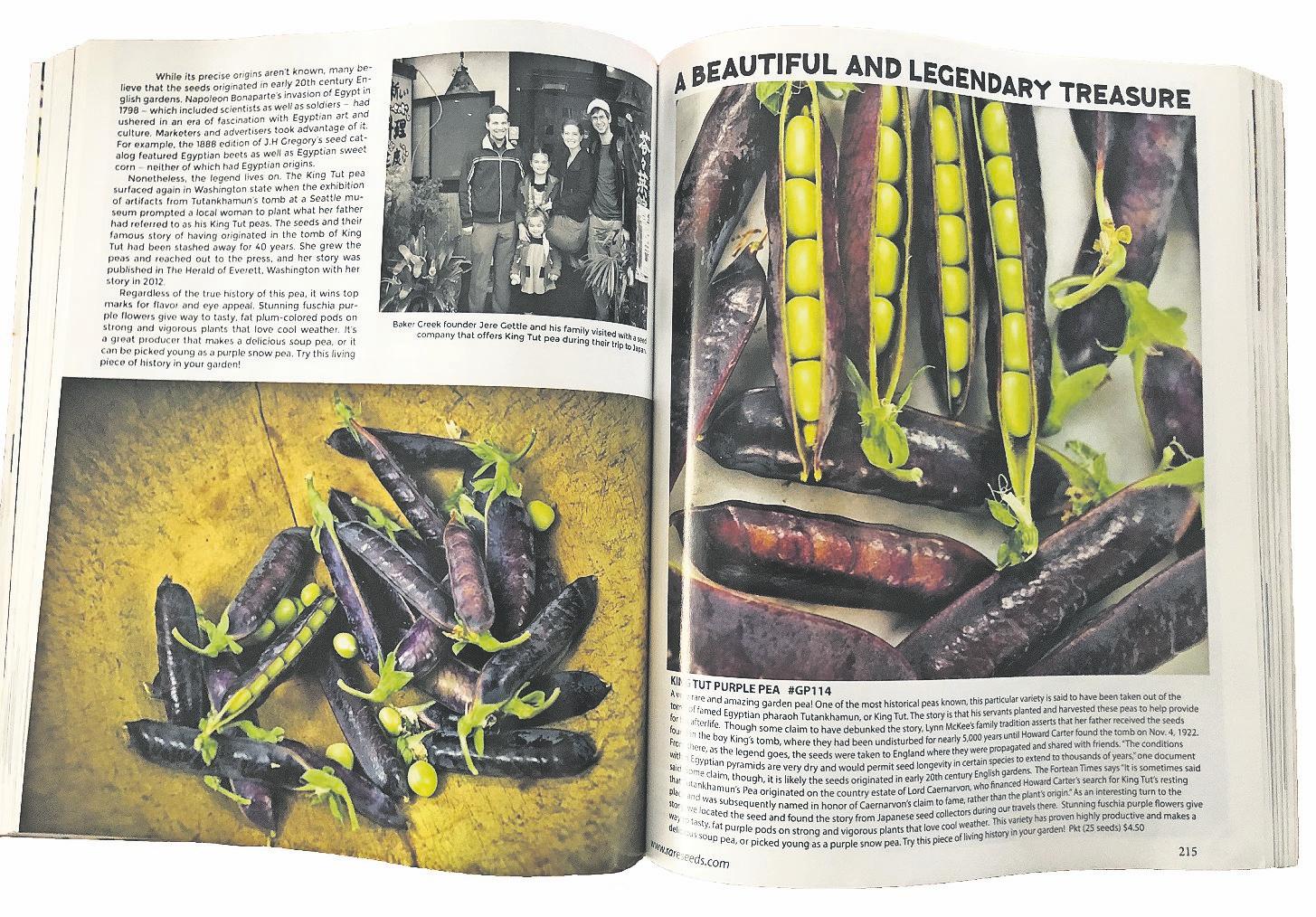 Baker Creek Seeds on Twitter "A lovely tribute to the magic of seed