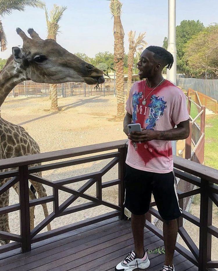 Aaron Wan-Bissaka trying to steal a giraffe’s lunch