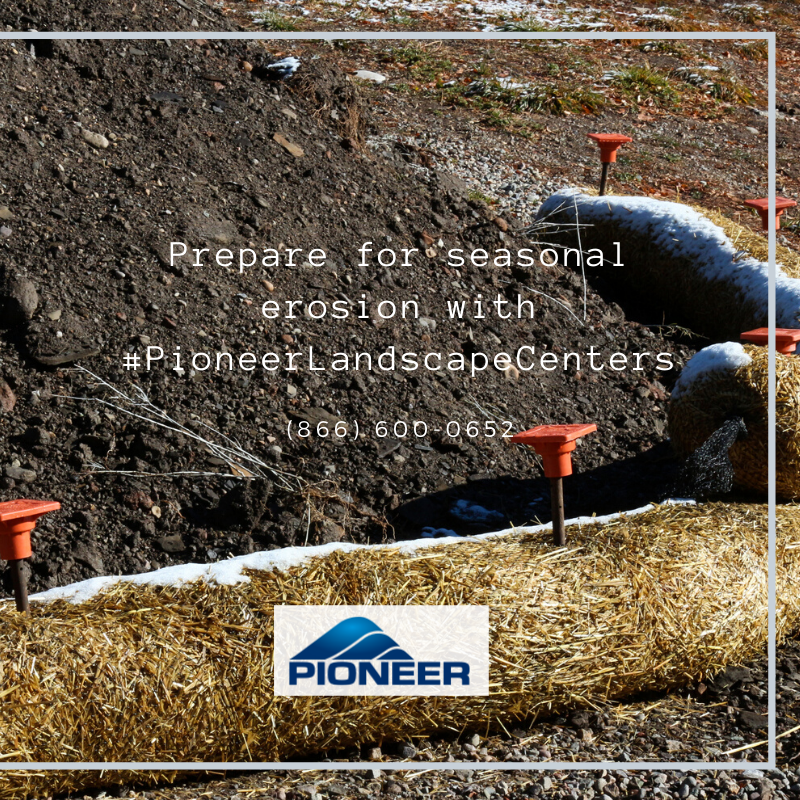 Pioneer tweet media