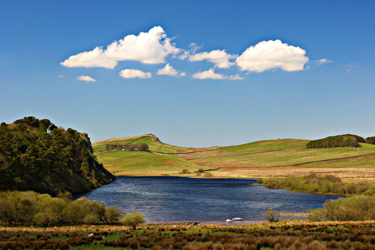 NlandNP's tweet photo. We're over the moon to be nominated for National Park of the year in the 
@CountryfileMag 2020 Awards. We need your help to win, cast your vote at the link below.
https://t.co/Vbr21nvKTu
#VoteNland https://t.co/uES9C0utKh