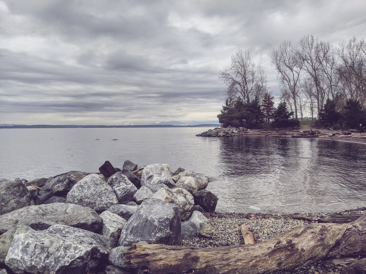 Small beach in a park with a few rocks and trees on a cloudy day