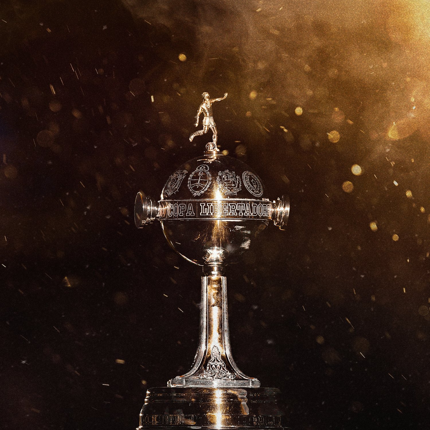 CONMEBOL Libertadores on X: 😍 The CONMEBOL #Libertadores is back! ⭐ The  road to #GloriaEterna begins again! 🤔 Who will lift the Copa this year?   / X