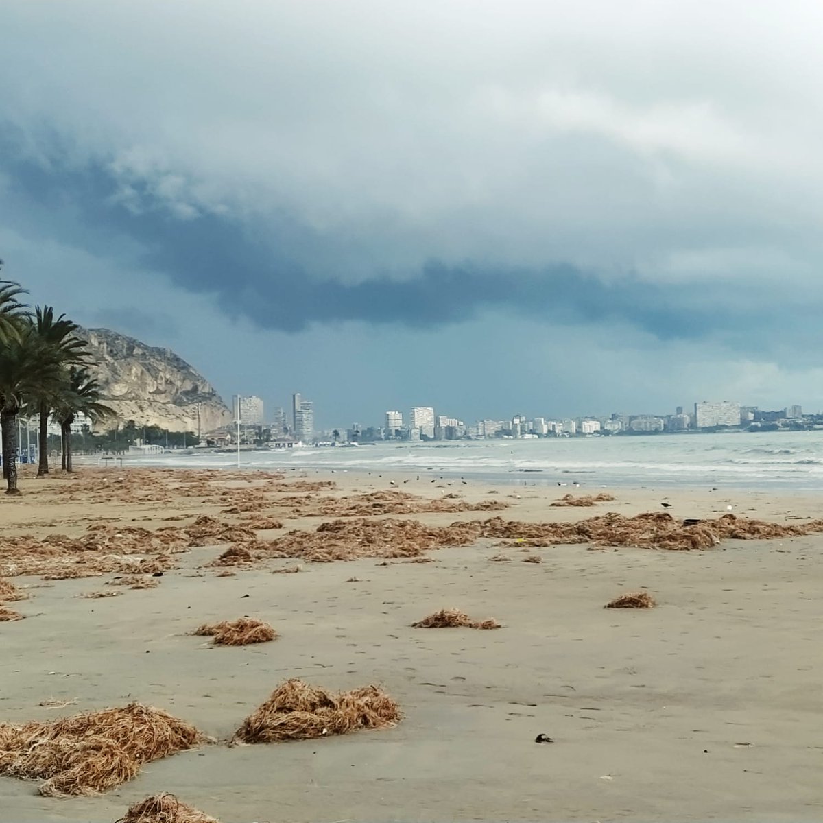 meteoAlcVlc's tweet photo. Playa del Postiguet. Alicante @AEMET_CValencia @tiempobrasero @ecazatormentas @monicalopez_tve @mbarreiro_tve @Tiempo_Valencia @lasextameteo @HimarGonzalez @JoannaIvars https://t.co/7EmAUPQiau