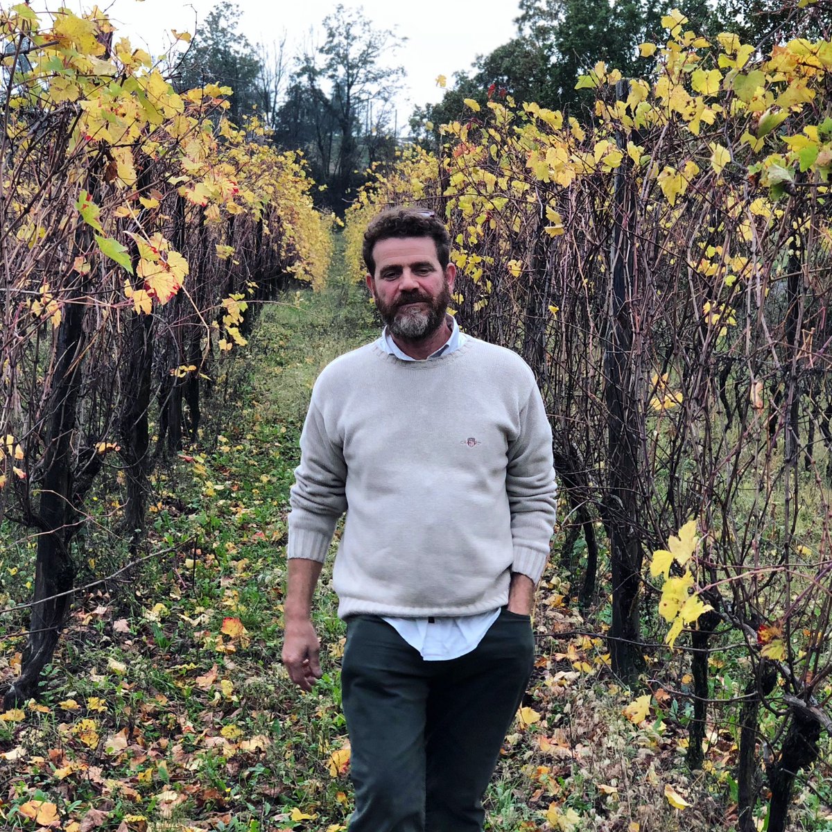 Artesanos viticultores del centro- notte de Italia en #VELLATERRA2020. 
Entre ellos: Cascina degli Ulivi, Az Agr. Carussin, Cascina Iuli, Valdisole, Elisabetta Foradori, Tenuta Armonia, Tenuta Fornace, Croci, Casè, Il Poggio, Andrea Cervini.
Más info: OURARTISANSVELLATERRA2020