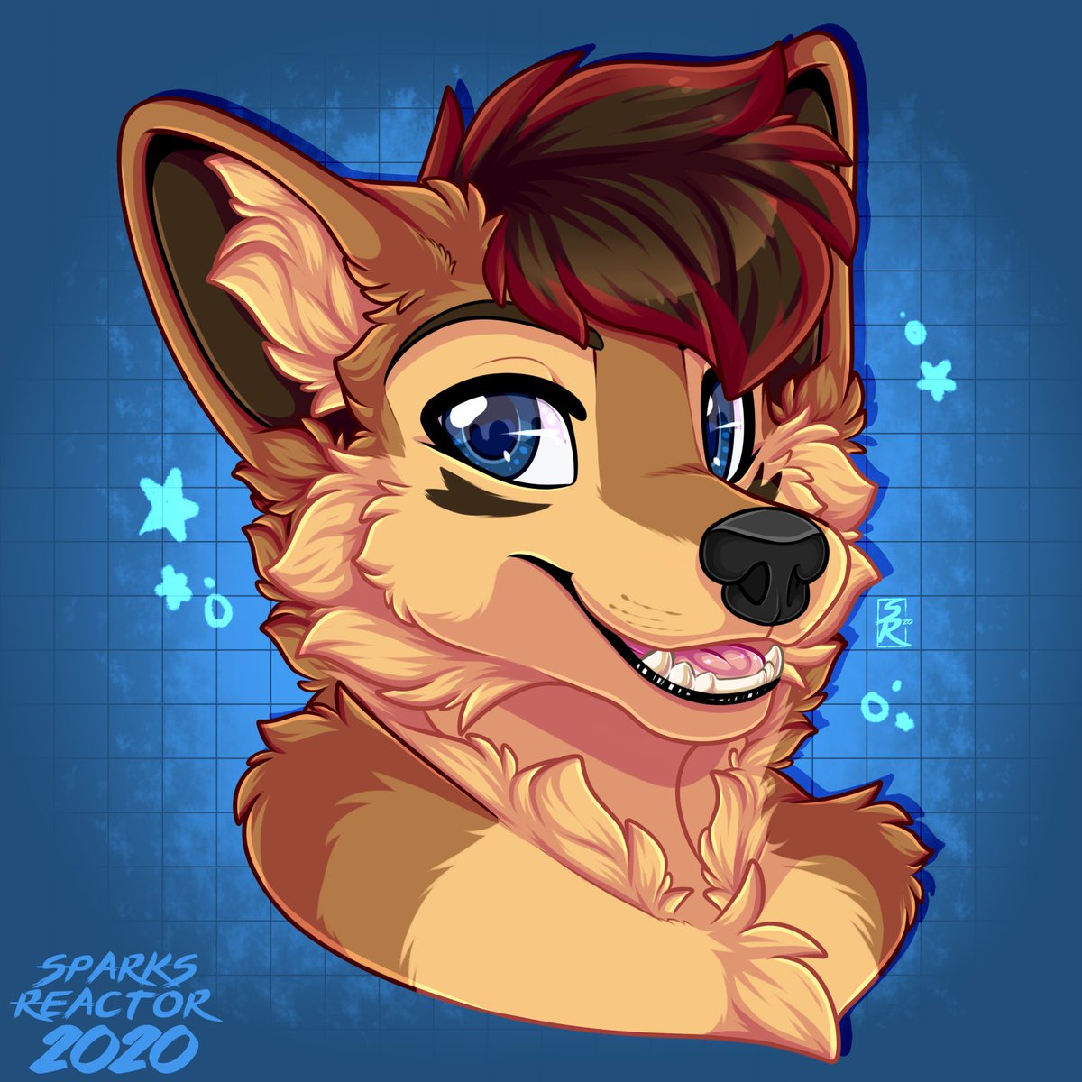 Elliot 🏴 🔜CFZ tweet media