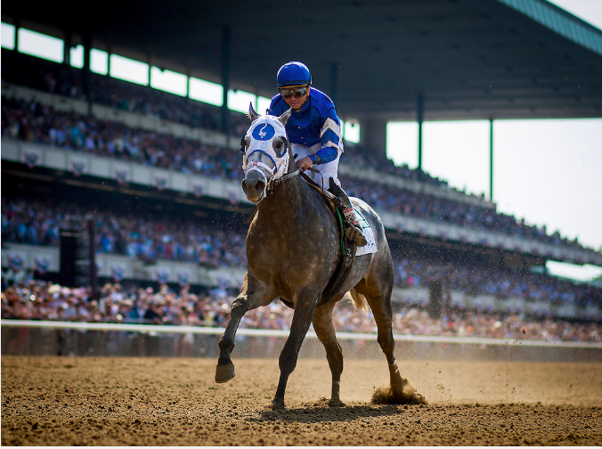EclipseSports's tweet photo. “If you can’t fly then run, if you can’t run then walk, if you can’t walk then crawl, but whatever you do you have to keep moving forward.” -Martin Luther King Jr. #RememberingMLKJr #MLK2020
📷 @a_evers https://t.co/jOu5d9M7pZ
