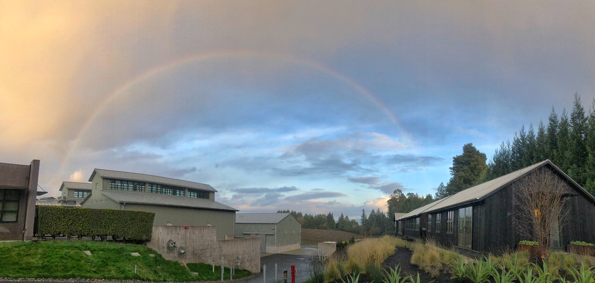 A beautiful start to the new year at Paul Hobbs Winery. #russianrivervalley #rainbow