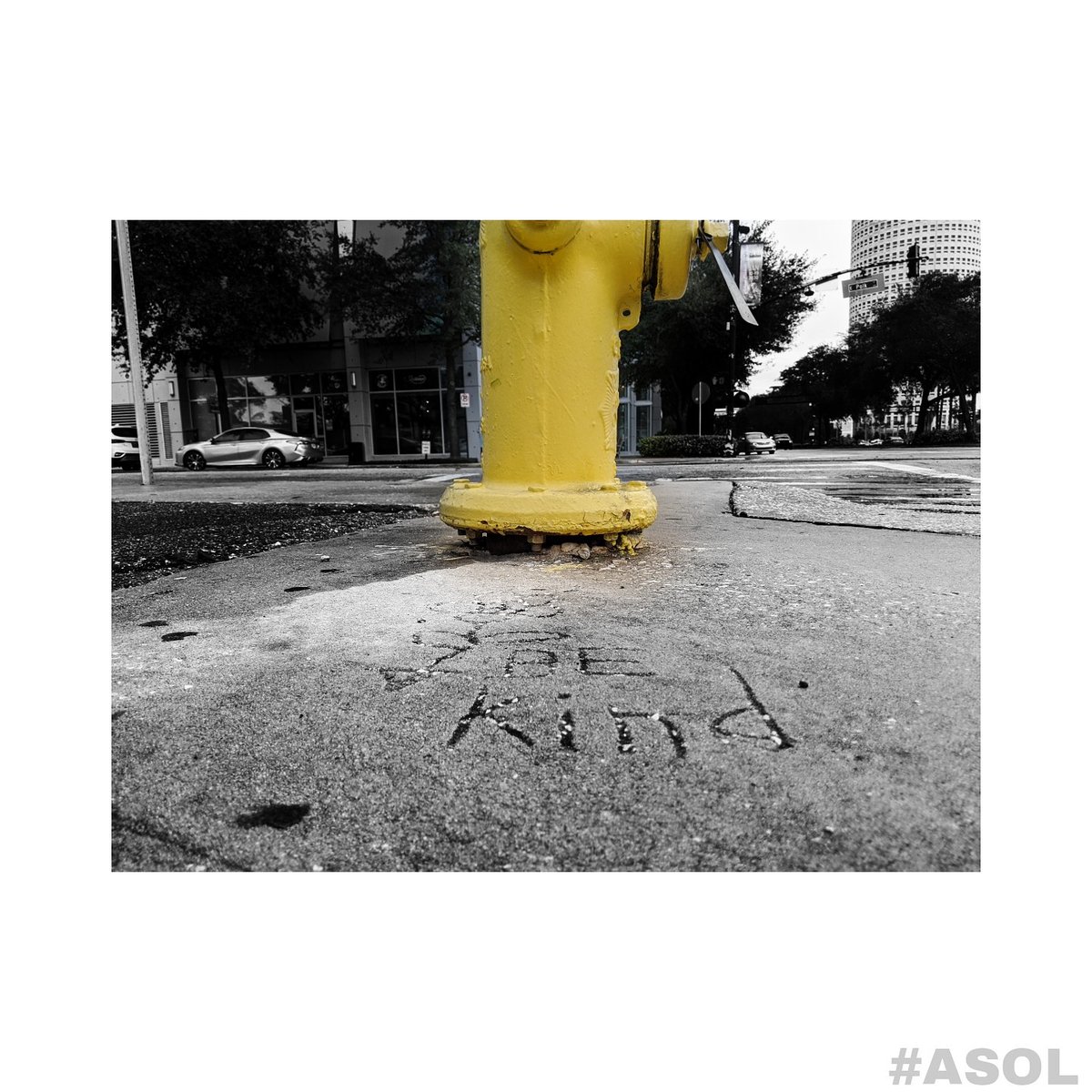 djblackivan's tweet photo. Be kind ™
---
#MLK2020 #kindness #ASOL #photography #Tampa #Florida #blackandwhite https://t.co/x065cXD9Ki