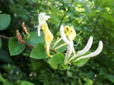 m.cafe.naver.com/ca-fe/web/cafe…