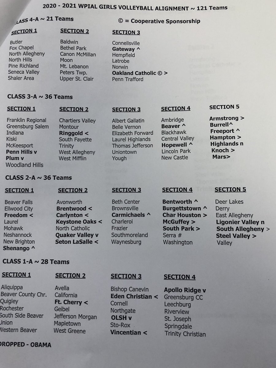 CHarlan_Trib's tweet photo. #WPIAL boys and girls volleyball section alignments for 2020-21 and 2021-22 school years #HSSN https://t.co/ZFbFopyaD9