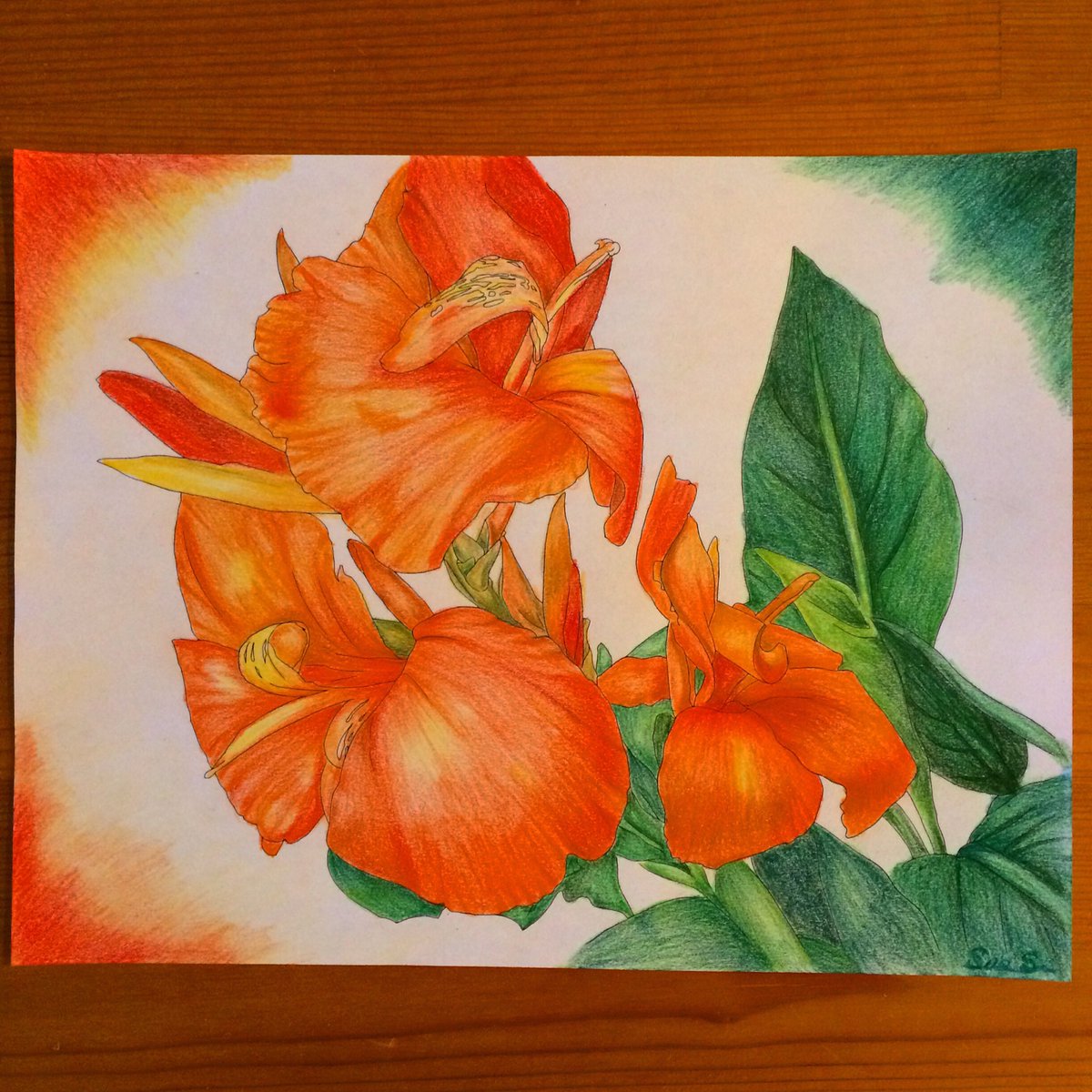 ColoringSue's tweet photo. Using a new color pencil set I got for Christmas - here’s a newly finished picture! #coloringbook #coloringbookpage #adultcoloringbook #coloring #colorpencil #stilllife #stilllifeart #stilllifeartist #flowers #flowerartwork #flowerartist #stressrelief #orangeflowers https://t.co/SejoljINK9
