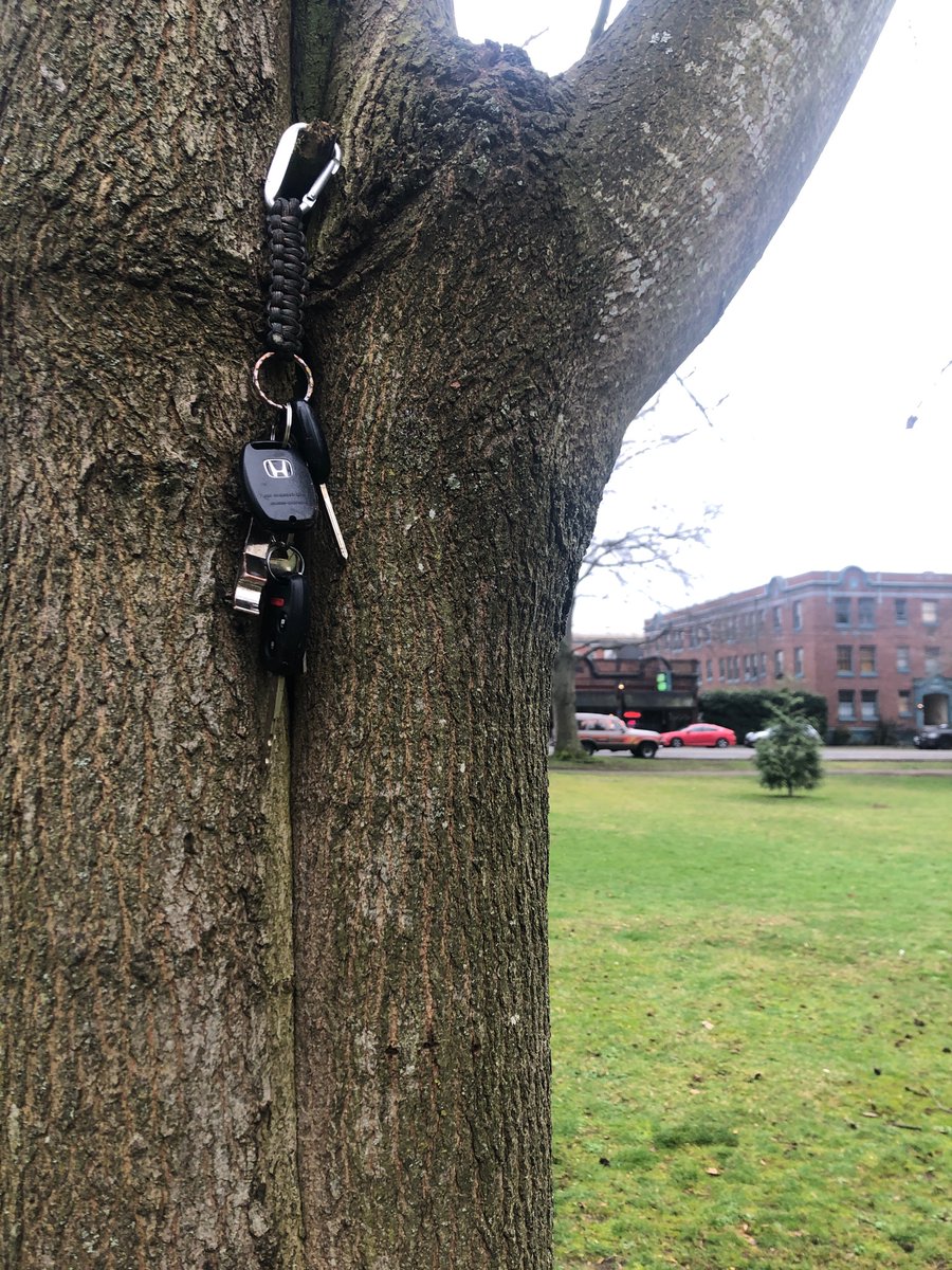 Bigheadmonkey2's tweet image. #monkeyshines2020 keys left behind! In wright park.