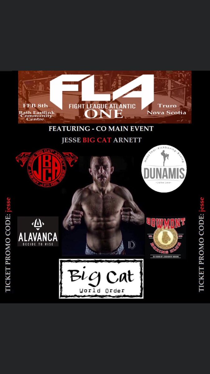 BIG crypto CAT tweet media