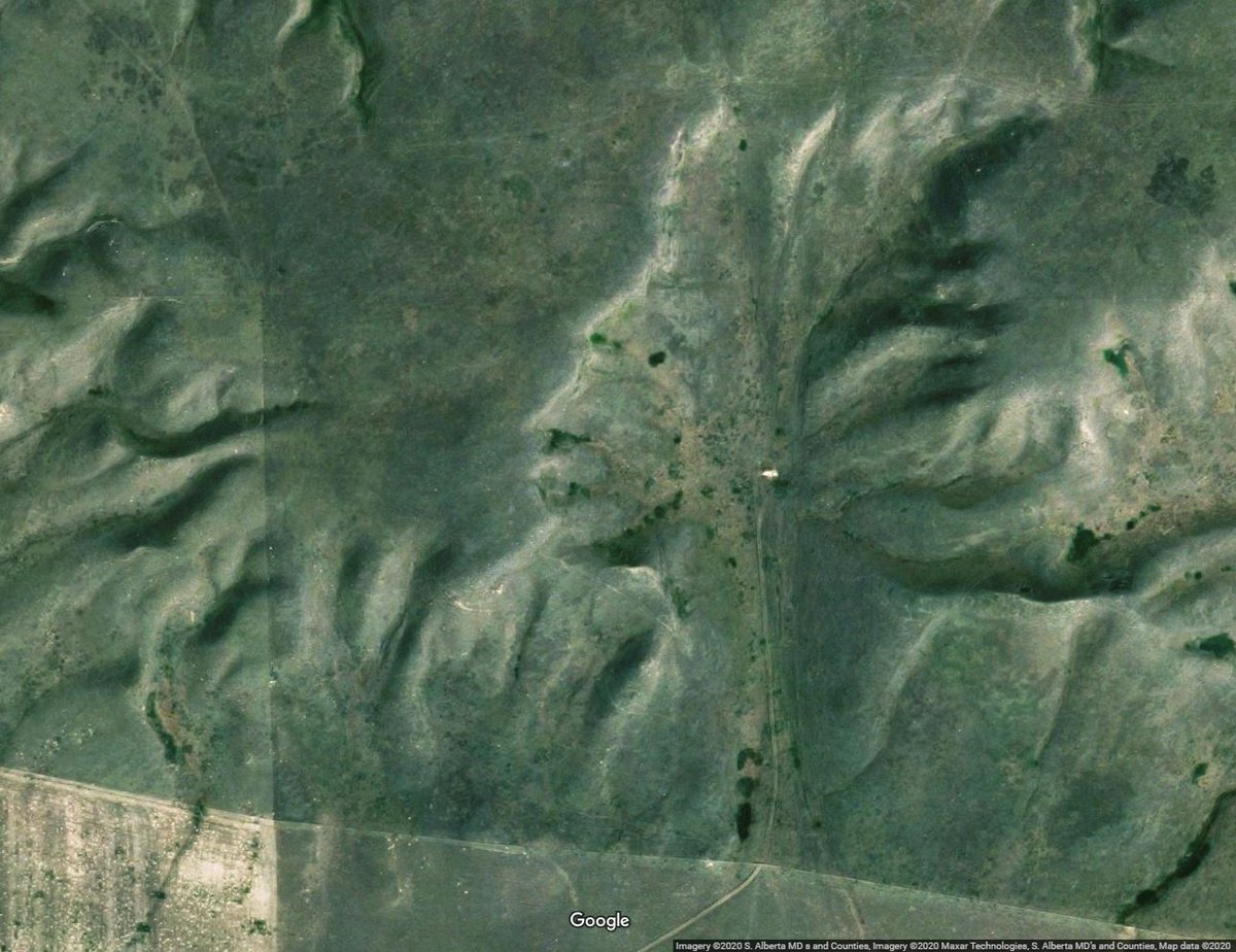 weird images on google maps face