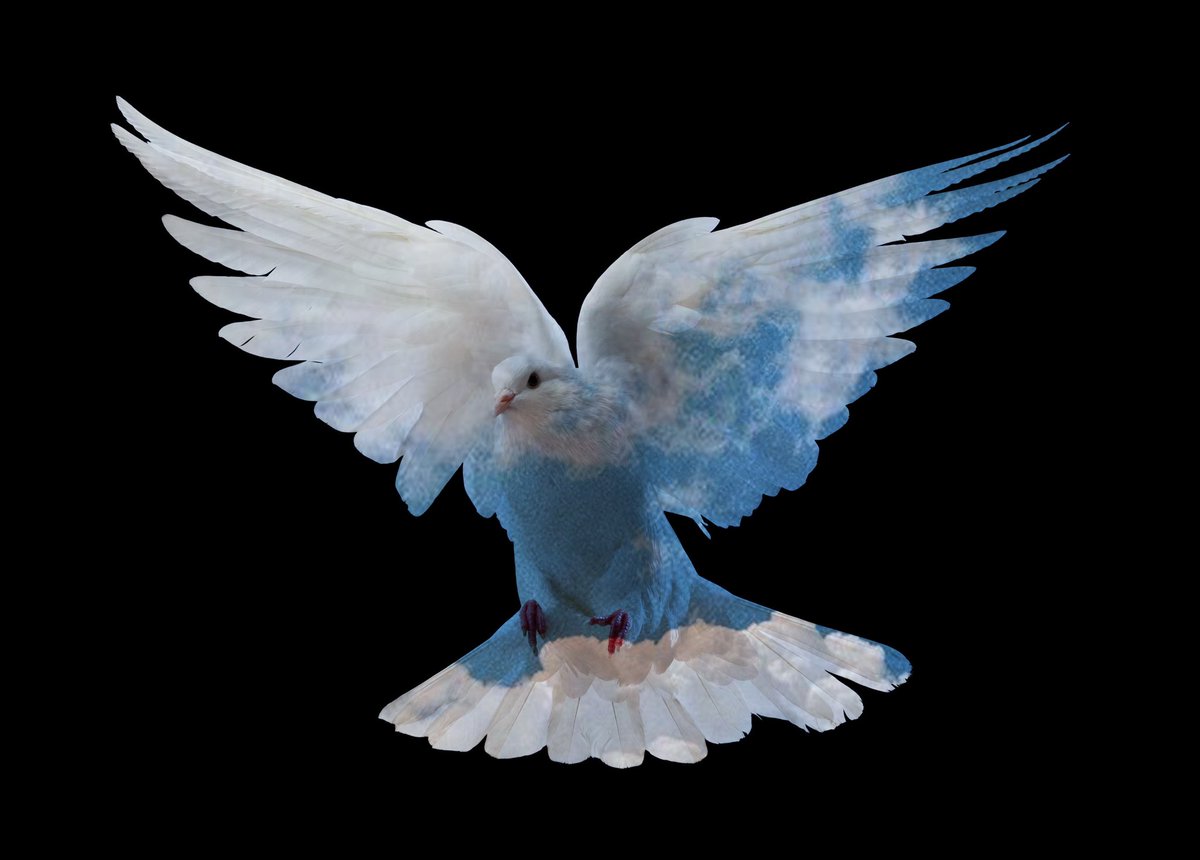 Tweet media one