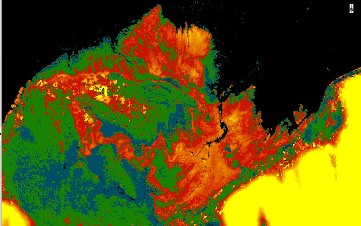 DLagomasino's tweet photo. The elevation of the Earth's surface can be measured from space. These observations can help us measure the height of the @mangroves
#MangrovePictureEveryday
#MangrovesAreAwesome
#BlueCarbon
#RemoteSensing
#CanopyHeight
#Mangroves366
Location: Inhaca Island, Mozambique
20/366 https://t.co/HLVA8Xgf2g