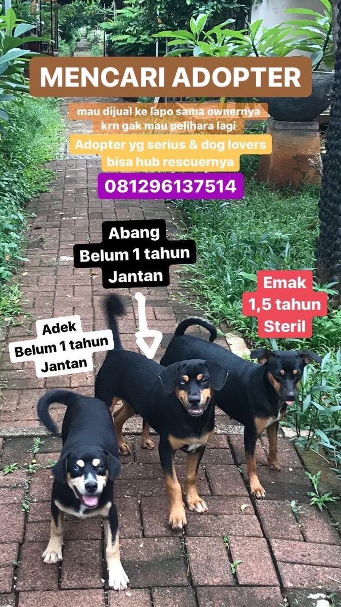 Please help &amp; share 🙏🏼💕😢