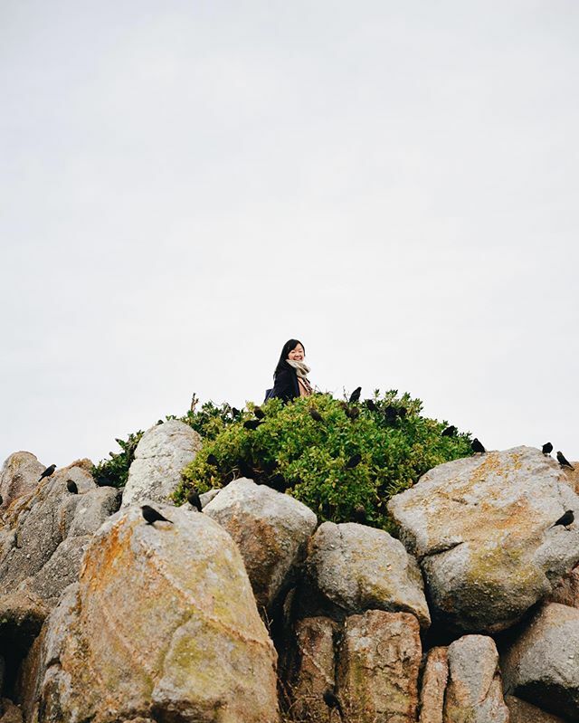 jonathan_ota's tweet photo. It’s a squirrel...no, it’s a bird...JK, it’s a @reinasaur! https://t.co/ucw8sFsfEu