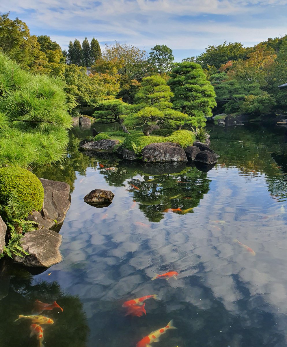gorgeous_pix's tweet photo. "Koko-en Garden, Himeji, Japan. From u/HellsJuggernaut on /r/mostbeautiful #engarden #koko #japan #himeji #mostbeautiful" https://t.co/7spQRvWDGB