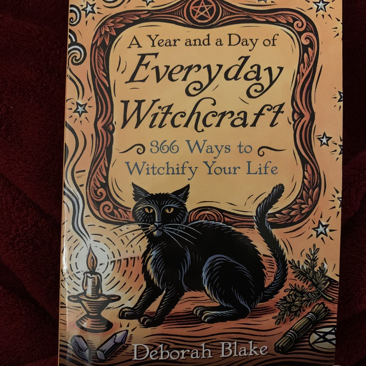 lostmymittens's tweet photo. Thank you @deborahblake for the inspiration to record the positives. Twitter posts may not have been what you had in mind for a #bookoflight but your words have inspired me to find the joy, and helped me welcome more light into my life. #nameonenicethingthathappenedtoday https://t.co/H2lKBsvt6j