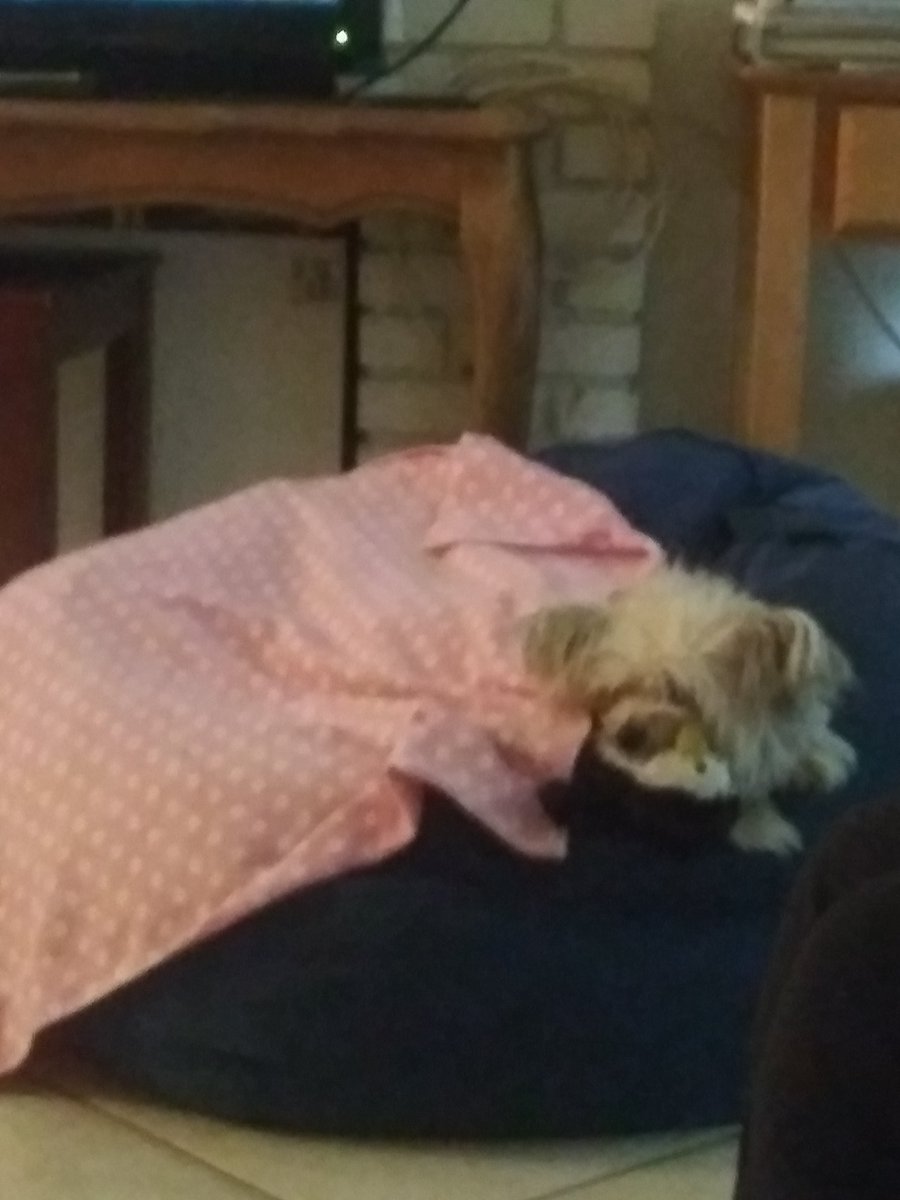 ShellYeah3's tweet photo. So my sister came home with a bean bag for me and I haven't used it so.... #Chanel #PangGween https://t.co/p83xtyex3k