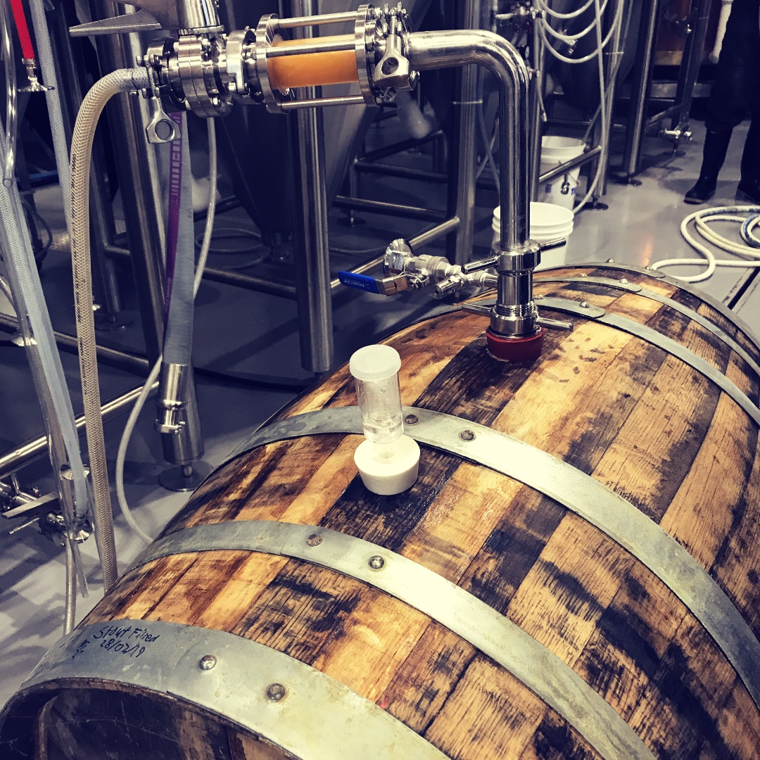 Pumping some HoneyComb Ale into this just emptied Brandy barrel.  Something tasty for next fall/winter?  And the Stout that just came out of it - will be on tap as soon as our Peaty Brown is finished.  Fun with wood!  #goodbeergrownhere #barrelagedbeer #farmfreshbeer #bccraftbeer