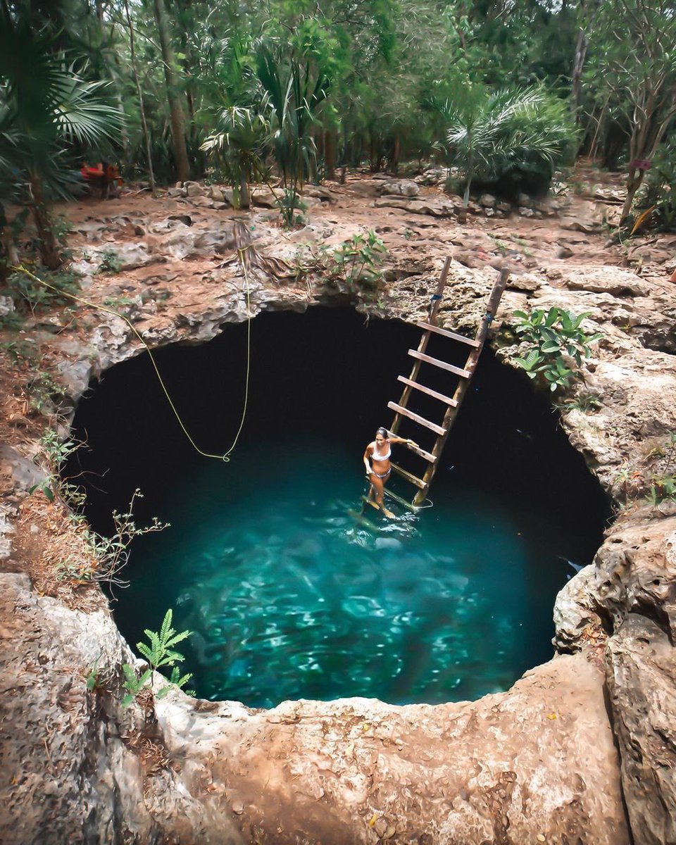 earth's tweet photo. Cenote adventures in Yucatán. https://t.co/ftfHKttf5B