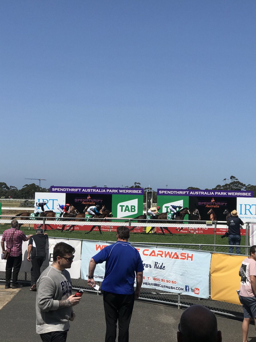 1000giggles's tweet photo. Race 5 winner #MrsSippy #HarcourtsWerribee F+M B64 HCP @spendthriftpark @Spendthrift_au @Country_Racing @Racing @RacingInsider #TROA @henrydwyer https://t.co/IuC4jsQVGQ