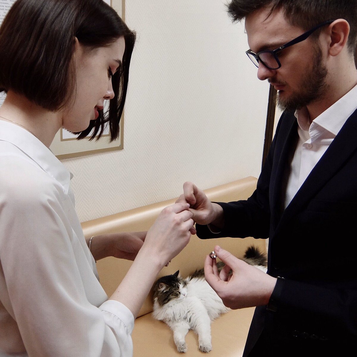 pollinoir's tweet photo. Теперь мы благословенны котом ЗАГСа Новосибирского района https://t.co/nzOArJgu6G