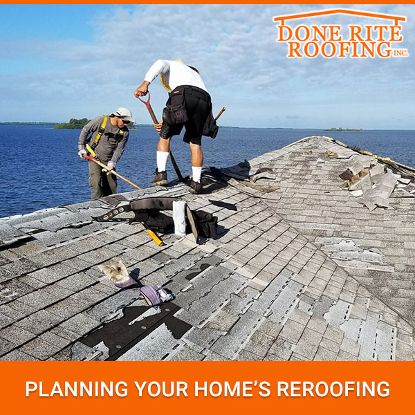 Planning Your Home’s Reroofing.
#doneriteroofinginc #roofinspection #roofissue #roofmaintenance #roofrepair #roofreplacement #roofer #roofing #roofingcompany #roofingcontractor #tips #reroofingahouse #replacearoof #trinity #clearwater #florida
doneriteroofing.com/planning-your-…