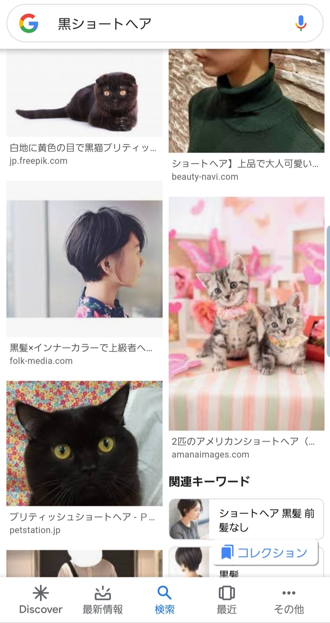 Dr ハインリッヒ幸 En Twitter 髪型変えよかなと 黒ショートヘア で画像調べてたらちょいちょい黒猫にゃんの写真出てきてかわいい うへへ えへへ て猫ばっか見て髪型全然探せてないです