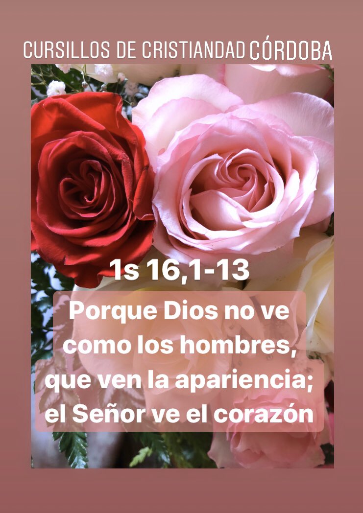 mcccordoba's tweet photo. https://t.co/gkcUAjDmsB