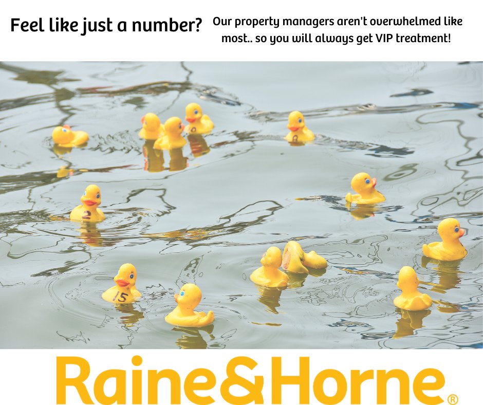 RHRockingham's tweet image. Our property managers aren't overwhelmed with large portfolios and each has a full time assistant, so you will never feel like just a number.