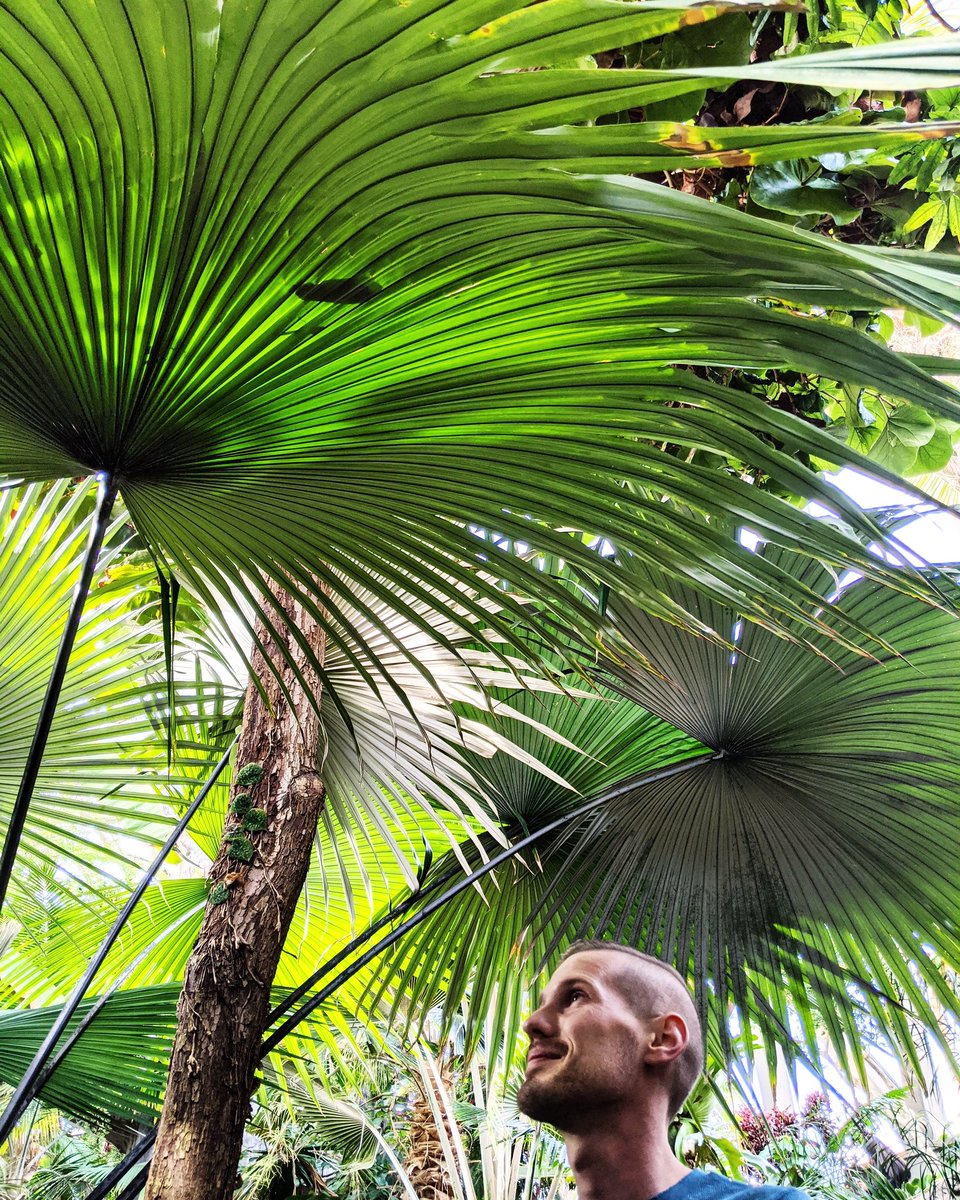 Leeeeta's tweet photo. I love one (1) man, and that is my #fakeSO & #realBFF, @GrantRStevens. Let's take gentle, recuperative walks through botanic gardens on sunny days when one of us is getting over a cold, forever. https://t.co/KibvFmW38F