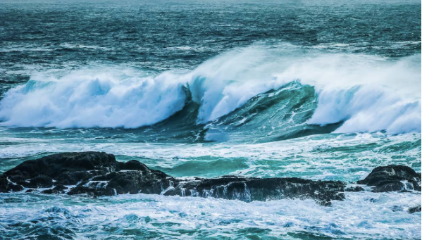 🌀Pacific Tides 🌀

.
.
.
#myucluelet #wonderful #winterwaves #pacificrimnpr  #explorebc #seekadventure #greettheoutdoors #thegreatoutdoors #bcadventuresmart #pnw #pnwonderland #exploremore #ucluelet
 📷 @chrismullinphoto