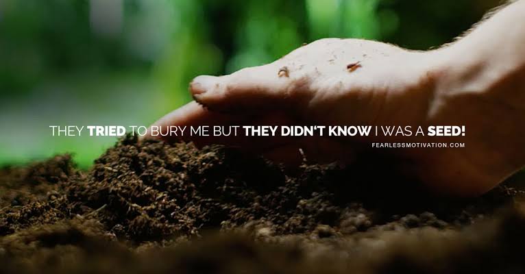 PozboiP's tweet photo. They tried to bury me but they didnt know i was a seed.

I'll always grow back stronger. https://t.co/Q5OM3TJwPF