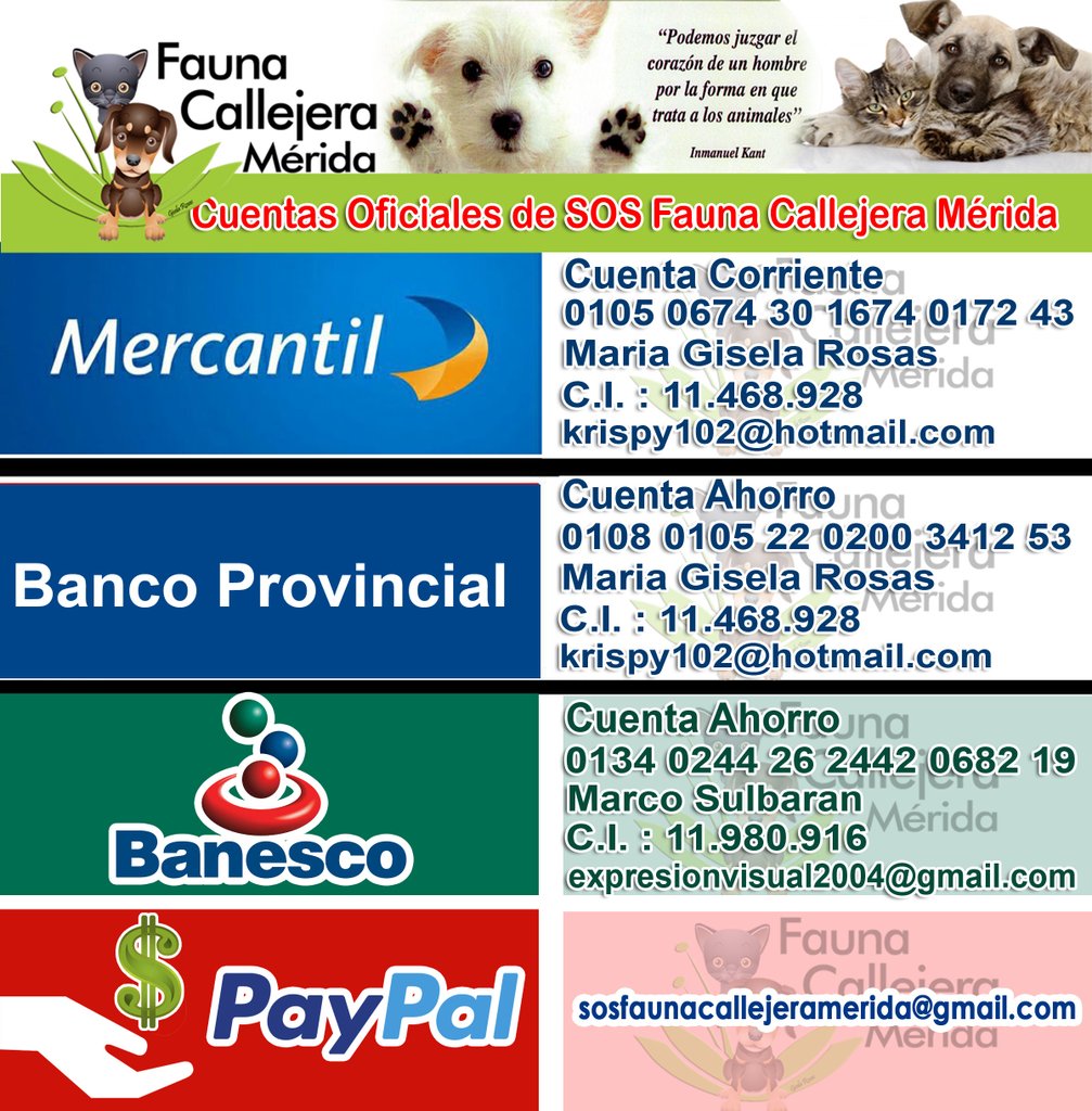 Mi gente linda de Tabay, en especial Anny y Diana, bañaron a la mayoría de los perritos comunitarios y se encontraron con algunos problemitas de salud. Esperamos contar con ustedes para la próxima jornada de sanidad porque aun falta trabajo por hacer . 🐾🐾🐾